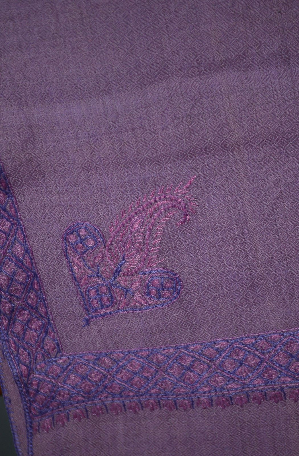 Border Embroidery Pashmina